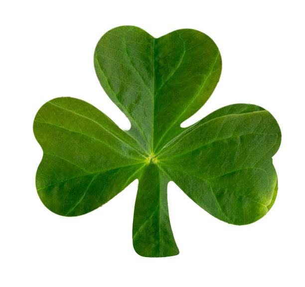 三叶草象征图片下载