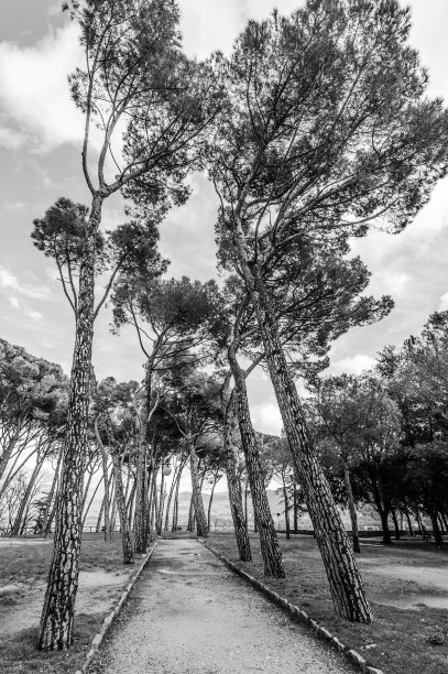 意大利托斯卡纳的中世纪村庄图片下载