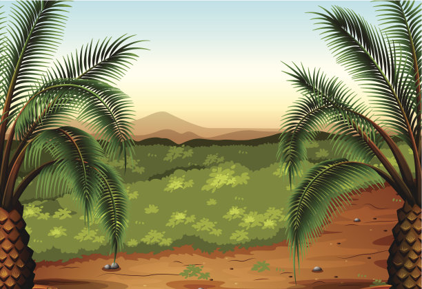 棕榈植物和草图片下载