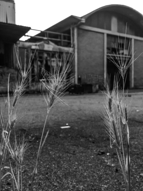 降解废弃工厂图片下载