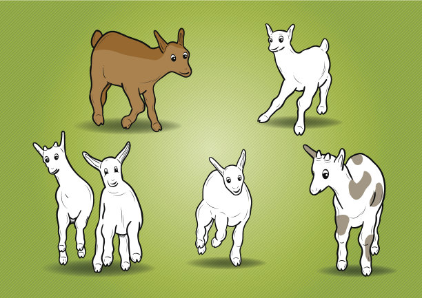 小山羊图片下载