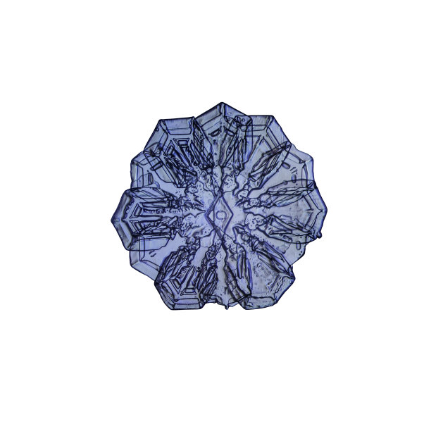 十二边真正的雪花在白色的背景图片下载