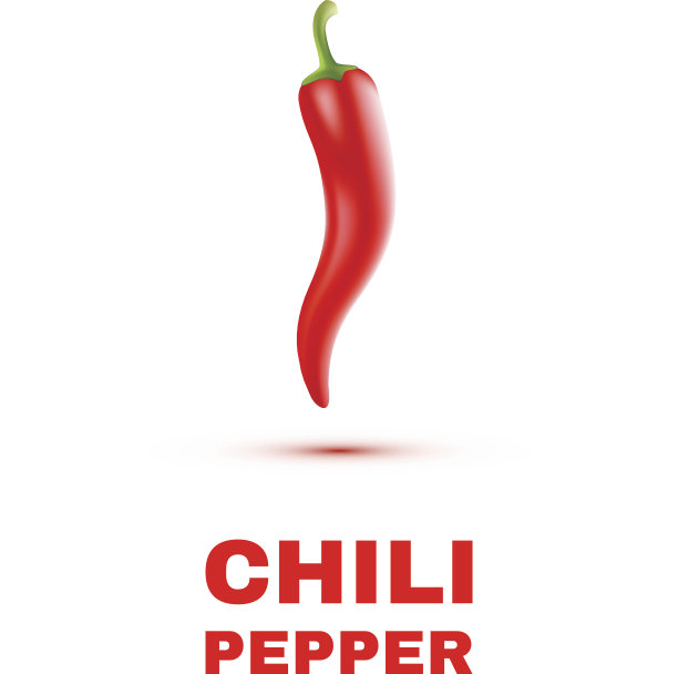 辣椒孤立在白色背景。向量图片下载