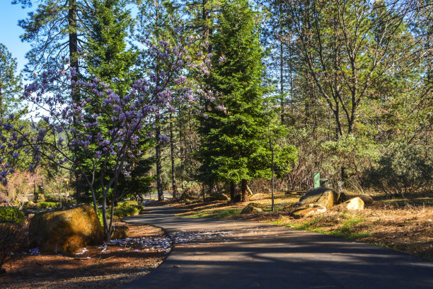 步行道图片下载