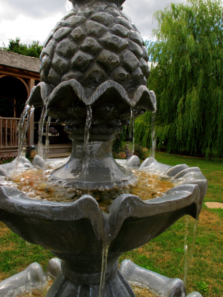 公园里的喷泉图片下载