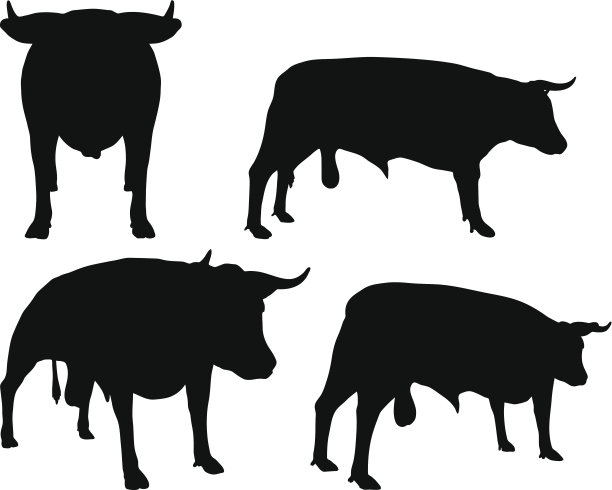 牛-向量剪影图片下载