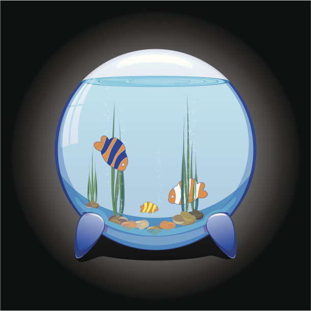 水族馆与热带鱼在黑暗的背景图片下载