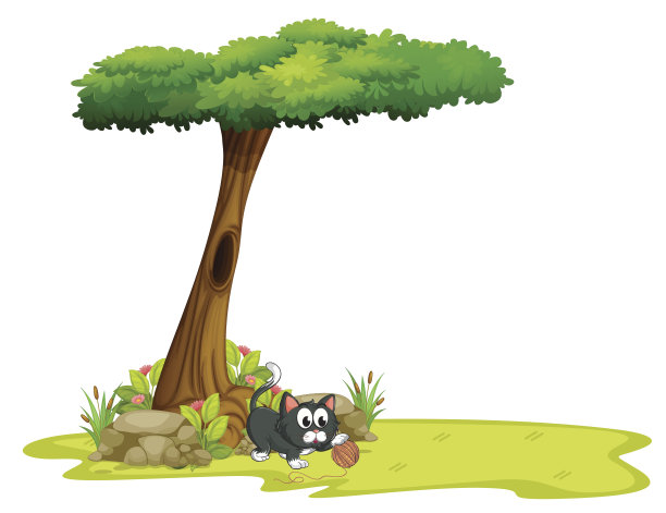 猫在中空的树下玩耍图片下载