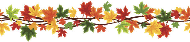 水平无缝背景与秋天枫叶。矢量插图。图片下载