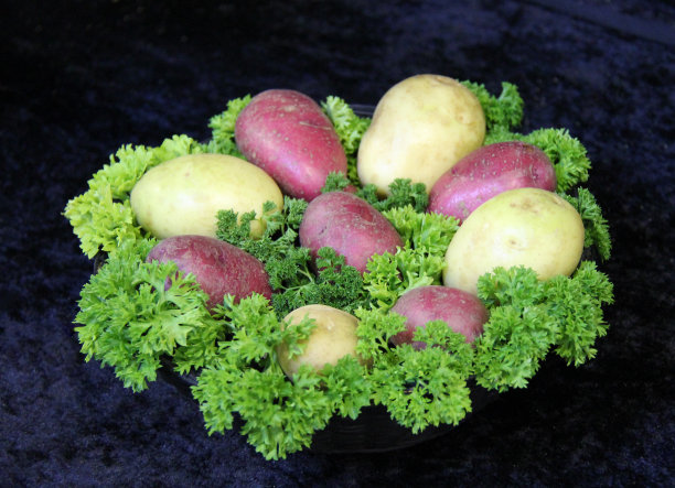 土豆显示。图片下载