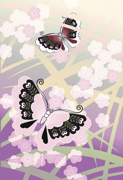 夏天的蝴蝶图片下载