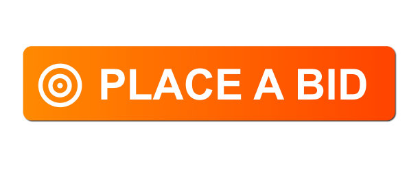 地方出价橙色图片下载