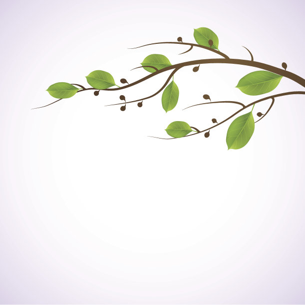 绿色的树枝上。季节性的背景。图片下载