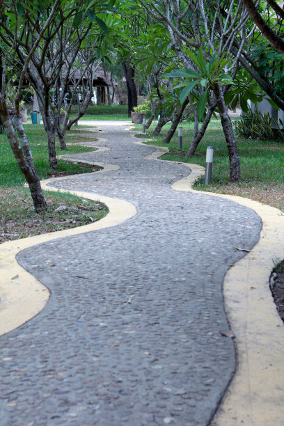 弯曲的度假步道绿树图片下载