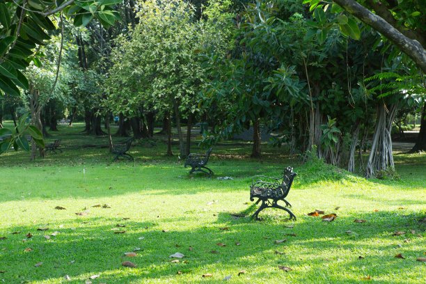 公园里的单人椅子。图片下载