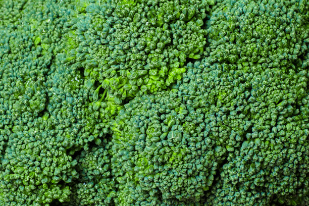 西兰花图片下载