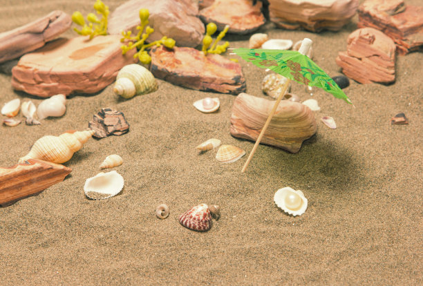 小小的海滩图片下载