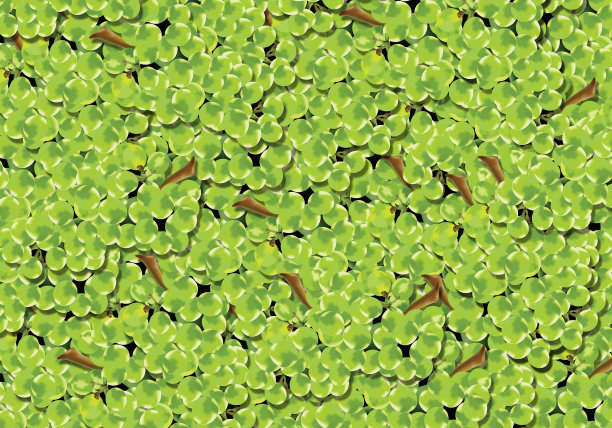 葡萄的背景图片下载