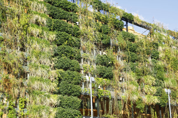 绿色的墙图片下载