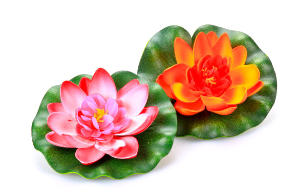 颜色人工莲花。图片下载