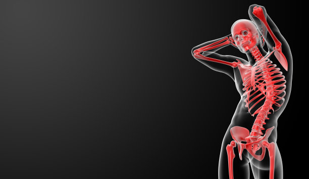 3d渲染红色骨架-底部视图图片下载