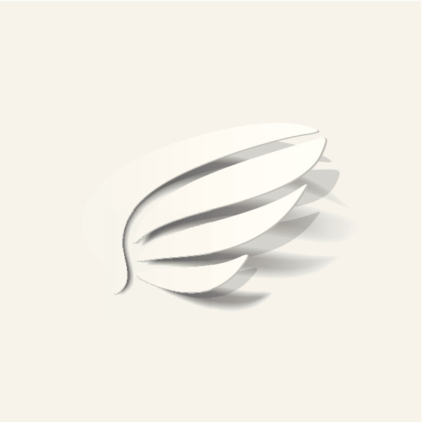 现实设计元素:翅膀图片下载