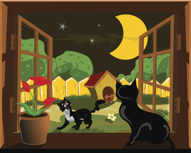 猫在窗口图片下载