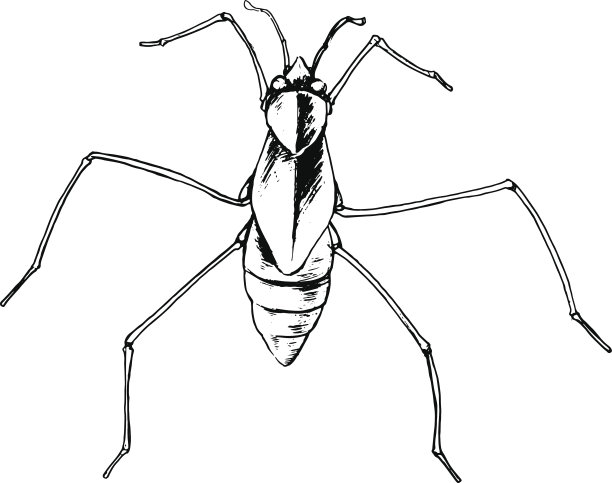 池塘溜冰者图片下载