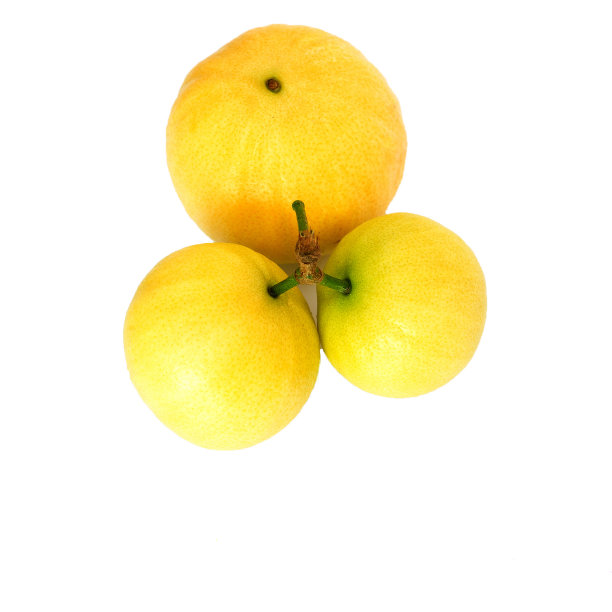 玫瑰苹果(L.)阿尔斯通孤立的白色背景图片下载