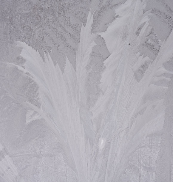 冰冷的窗口图片下载