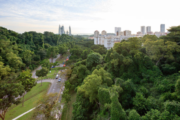 绿色城市图片下载