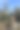 石头和树图片下载