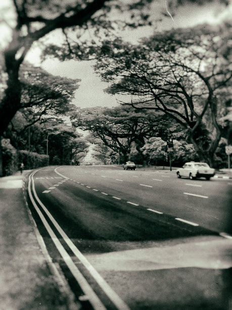 新加坡的街道图片下载