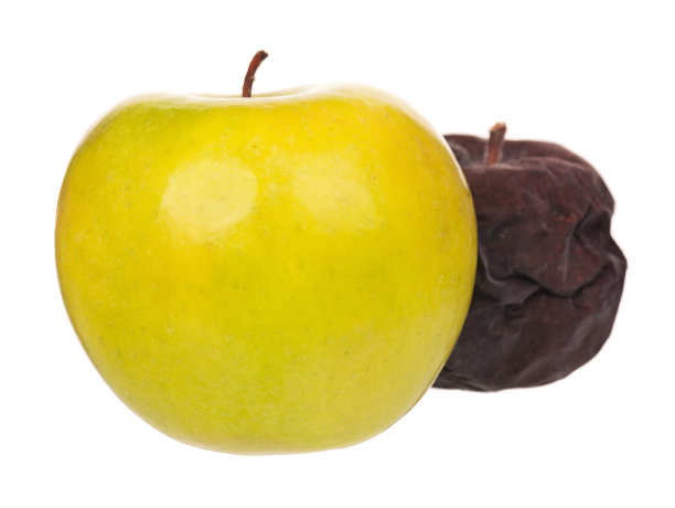 生苹果图片下载