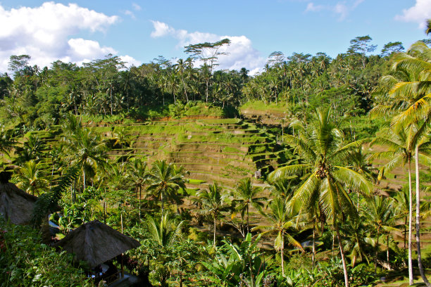坎波斯·德·阿罗兹图片下载
