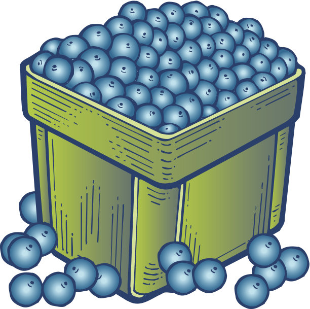 蓝莓C2图片下载