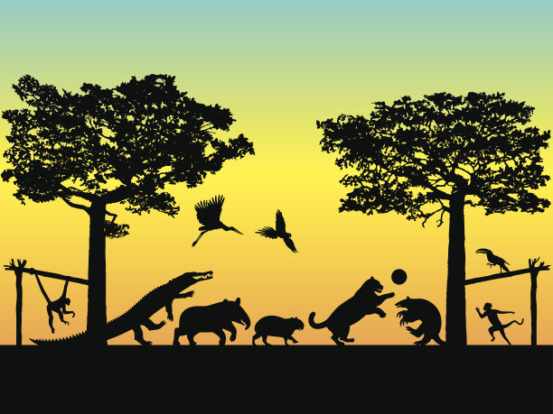 动物足球-巴西的足球比赛图片下载