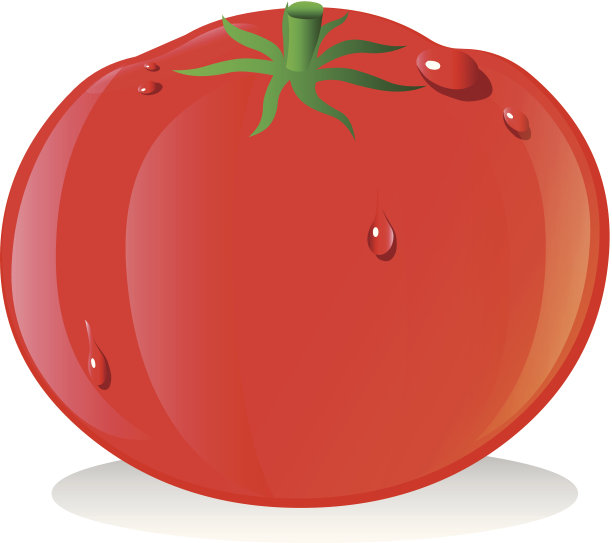 番茄图片下载