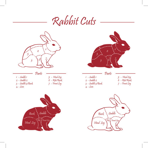 兔肉切割方案图片下载