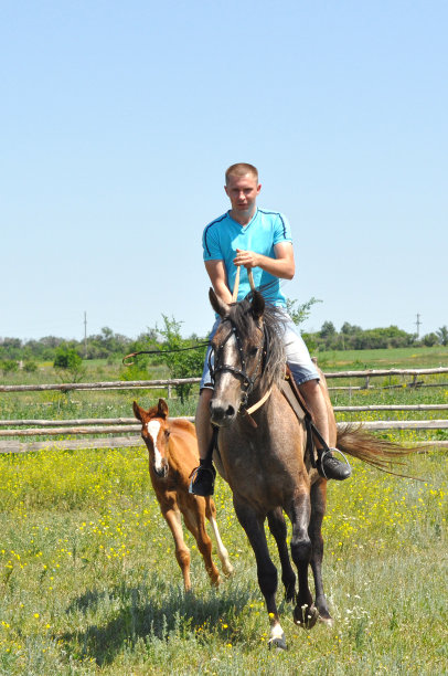 骑马的人在散步图片下载