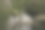 维格尔图片下载
