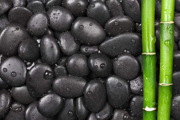 竹子照片素材ID：109110490