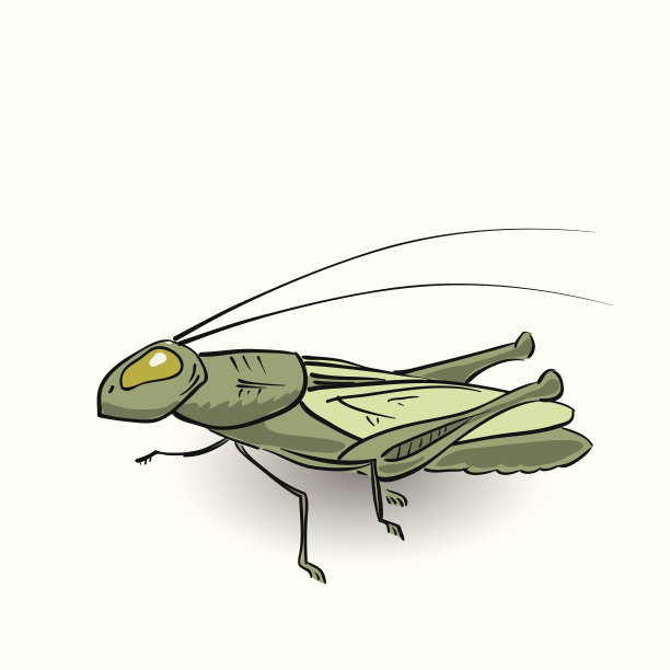 绿色蚱蜢图片下载