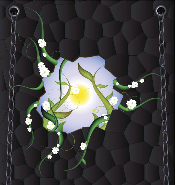 石墙和草图片下载