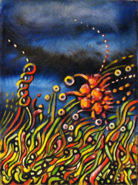 晚上花图片下载