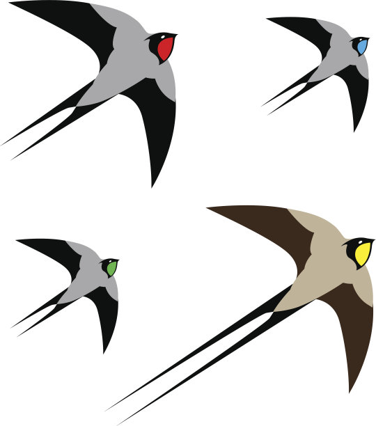 一个hirondelle的矢量图像素材图片