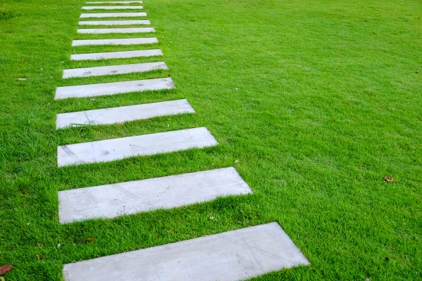 草坪上的混凝土平板人行道图片下载