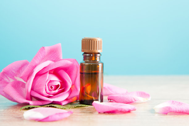 玫瑰花照片素材ID：109136266