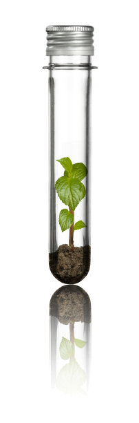 管子里的新生命图片下载