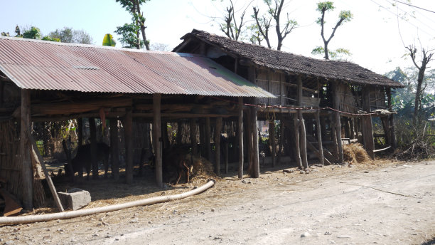 奇旺的塔鲁村图片下载